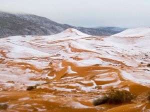 Снежна покривка обгърна Сахара