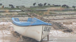 Откриха изчезналата в Черно море рибарска лодка