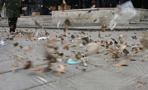 В Сливенско вече има материални щети заради силния вятър