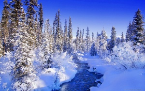 2017-та започва със слънчево време