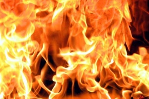 Пожар изпепели молдовски ТИР-ове край Търново