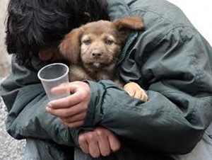 150 бездомни са потърсили помощ в центъра в "Захарна фабрика" тази нощ