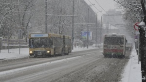 Продължава обработката по маршрутите на градския транспорт в София