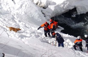 Над 40 спасители с обучени кучета търсят затрупания от лавина в Рила мъж
