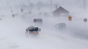 Сибирски студове в цяла Европа