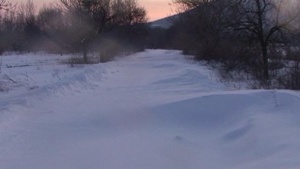 Снегонавявания блокираха пътищата край Свищов