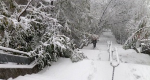 Над 20 станаха жертвите на екстремните студове в Европа за последните дни