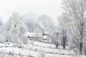 Над 20 са жертвите на студа в Eвропа