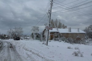 Лиляна Павлова: Снегът остави 11 села без ток
