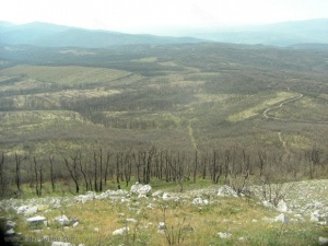 Австрийски полицаи ще патрулират на българо-сръбската граница