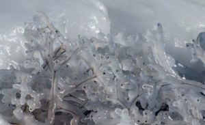 Студеното време отне живота на още един човек