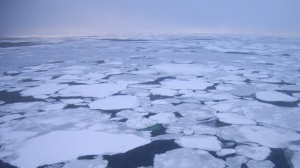 След повече от половин век морето край Бургас замръзна