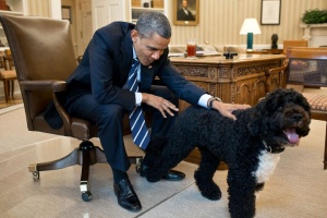 Кучето на Обама нахапа момиче по лицето в Белия дом