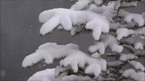 Снеговалежите започват, дневните температури ще са под нулата