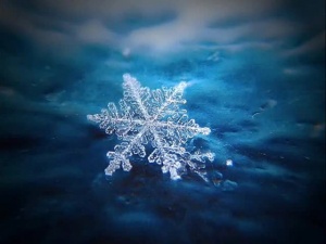Очаква се снеговалежите да продължат на повечето места в Южна България