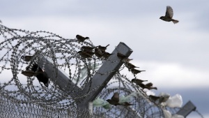 Литва строи ограда по границата си с руския анклав Калининград