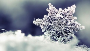 Днес ще бъде облачно и ветровито, в по-голямата част от страната с превалявания от сняг