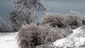 Бедствено положение в три села край Главница зараади снега