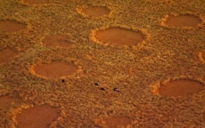 Южноафриканските "приказни кръгове" - една от най-големите загадки в света