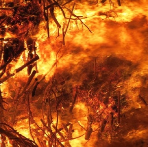 Трима загинали при огромен горски пожар в Чили