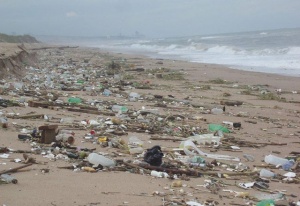 Над 8 млн. тона пластмаса се изхвърлят в морето всяка година