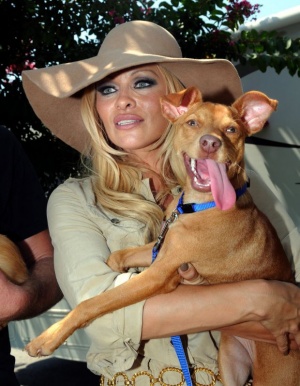 Памела Андерсън готви подаръци за Мелания! Мисли за палто от еко кожа