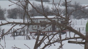 Овчар оцеля по чудо, след като половин месец живял в нищото