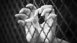 Европол: 3/4 от пострадалите от трафика на хора за жени