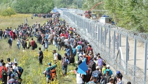 Стотици протестираха срещу указите на Тръмп за имиграцията