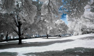 Времето остава облачно, на места температурите ще са положителни