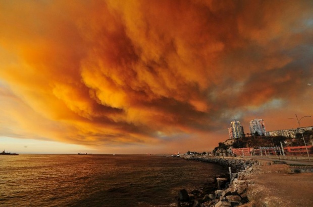 Червен код за опасност в Чили заради горските пожари
