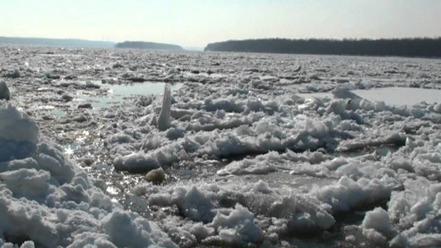 Заради рязкото застудяване очакват ледоход по Дунав
