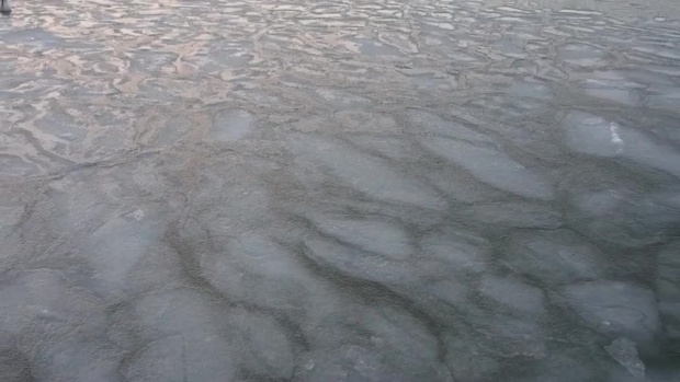 За първи път от 5 години насам лед скова Варнонското езеро