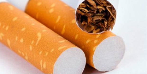 За миналата година се отчита спад в изкупния тютюн