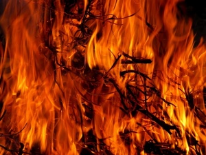 Над 20 000 души се борят с пожарите в Чили