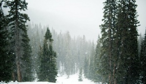 Облачна събота, но в Югозападна България температури до 13°