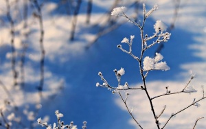 Очаква ни слънчево време с максималните температури до 9°