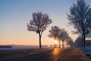 Слънце през целия ден, ще бъде топло за сезона