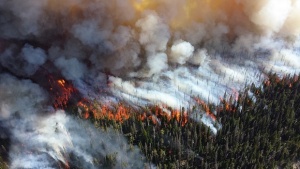 Евакуираха повече от 1000 души заради горските пожари в Нова Зеландия