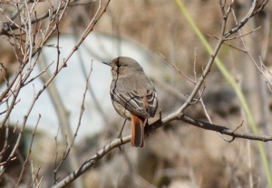 Облачно, но топло време ни очаква