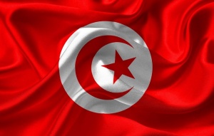 Поддръжници на Гюлен бягали през България с турски дипломатически автомобили?