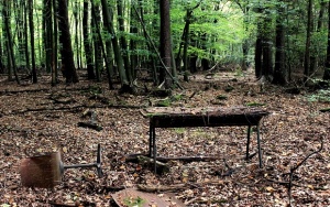 Протест на горски служители в подкрепа на техни колеги