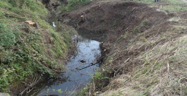 Разпоредиха почистване на реките и деретата в Търговищко