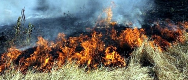 8 пожара от човешка небрежност за седмица в Североизточна България