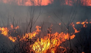 Движението по международен път Е79 е затруднено заради пожар