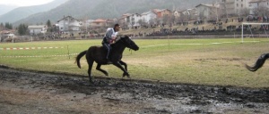 Конни надбягвания в цялата страна по случай Тодоровден