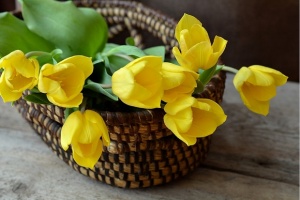 Честит 8 март!