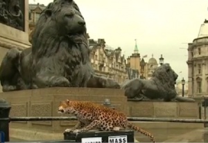 Леопард в центъра на Лондон