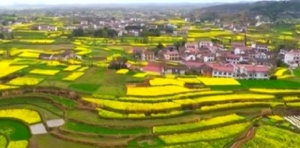 Истинска съвременна приказка в Китай (СНИМКИ)