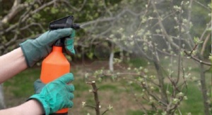 На МП "Лесово" хванаха турски контрабандист с 185 литра препарати за растителна защита, забранени за внос в ЕС